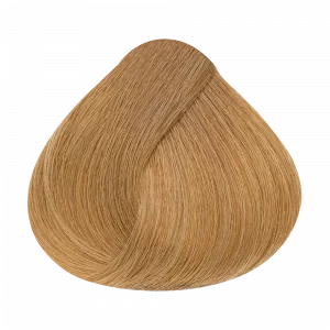 Alfaparf Tinte Evolution 9.3