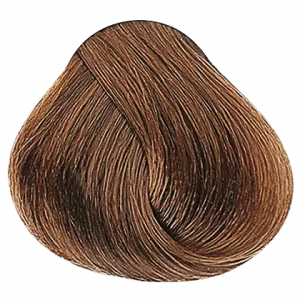 Alfaparf Tinte Evolution 8.3